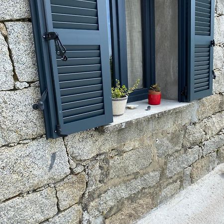 Tres Beau Studio Avec Terrasse Zonza Dış mekan fotoğraf